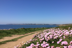 bien-être en bord de mer